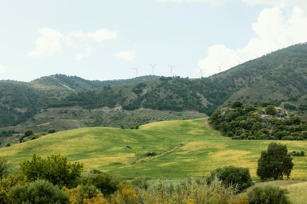 Paisaje pacífico de tiro extra largo con árboles