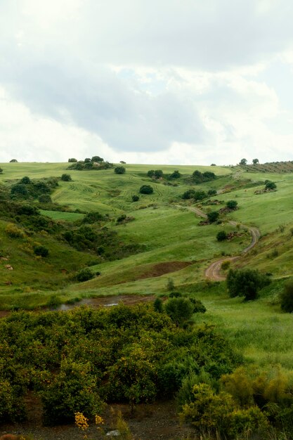 Paisaje pacífico de tiro extra largo con árboles