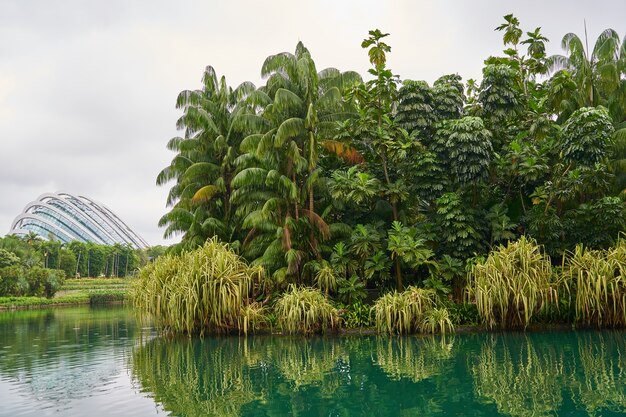 paisaje del parque de vida fondos verdes