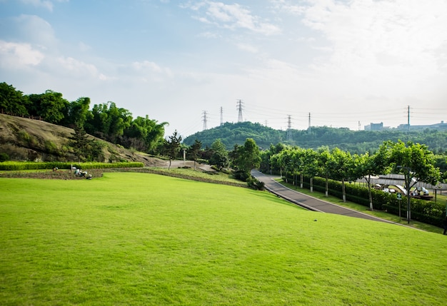 Foto gratuita paisaje de pastizales y entorno verde de fondo del parque