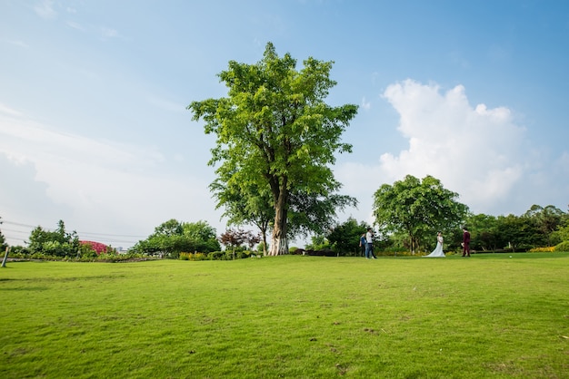 Paisaje de pastizales y entorno verde de fondo del parque