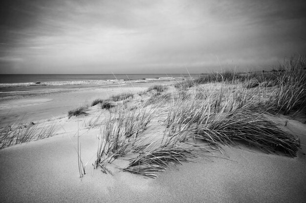 Paisaje de la playa en blanco y negro