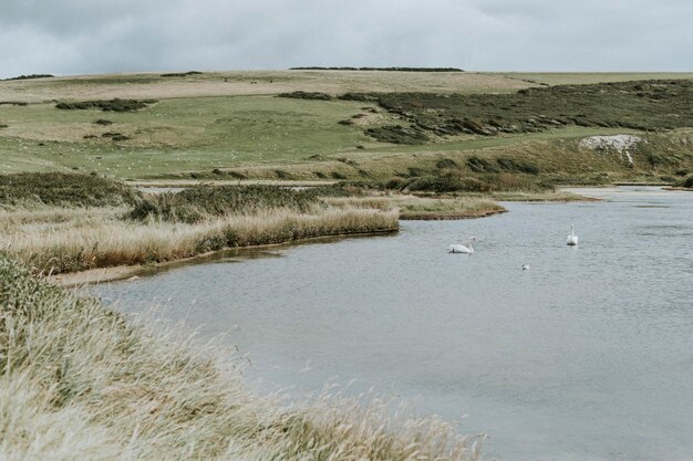 Paisaje de una pradera junto al agua.