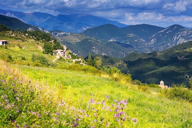 paisaje con prado de montaña