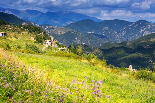 paisaje con prado de montaña