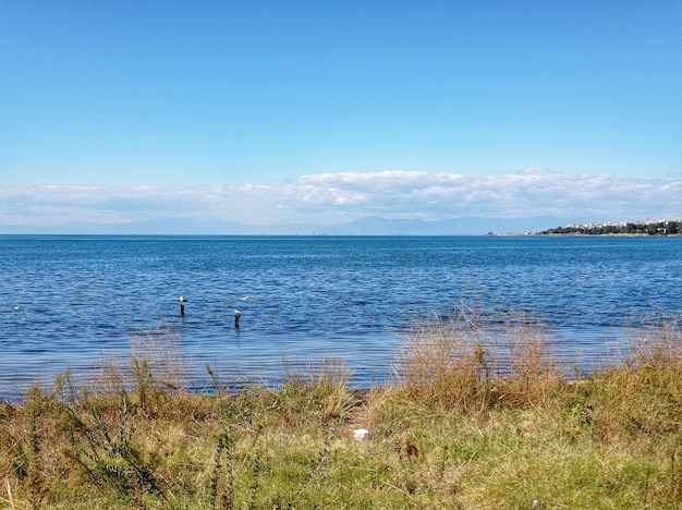 Paisaje de un prado rodeado por el mar bajo la luz del sol