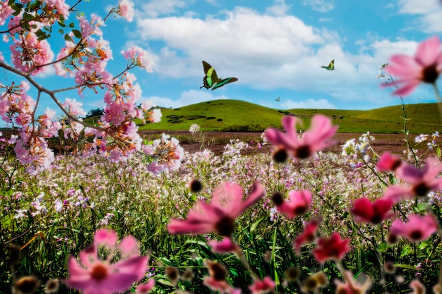 Paisaje de primavera con flores y mariposas