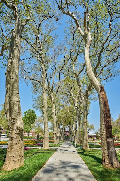 Paisaje primaveral en el parque Gulhane de Estambul