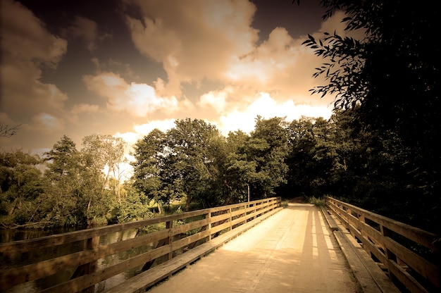 Foto gratuita paisaje con un puente de madera