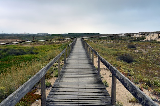 Paisaje de puente de madera