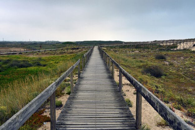 Paisaje de puente de madera