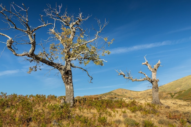 Paisaje en Puerto de Honduras, Extremadura, España