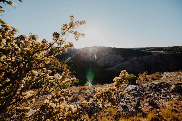 Foto gratuita paisaje de una puesta de sol en un día despejado