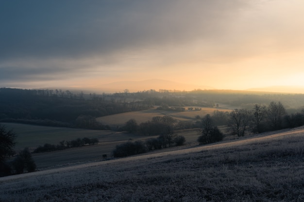 Foto gratuita paisaje de puesta de sol con vistas a los árboles en el campo