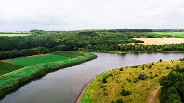 Paisaje de un río y bosque verde.