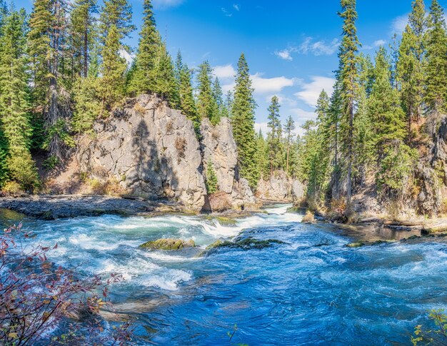 Paisaje en el rio