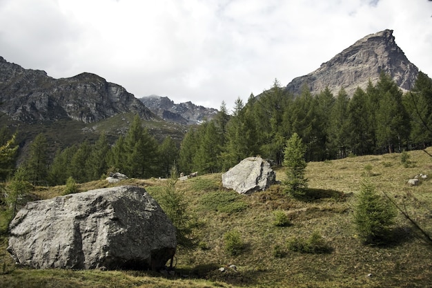 Paisaje de rocas rodeado de vegetación bajo un cielo nublado durante el día