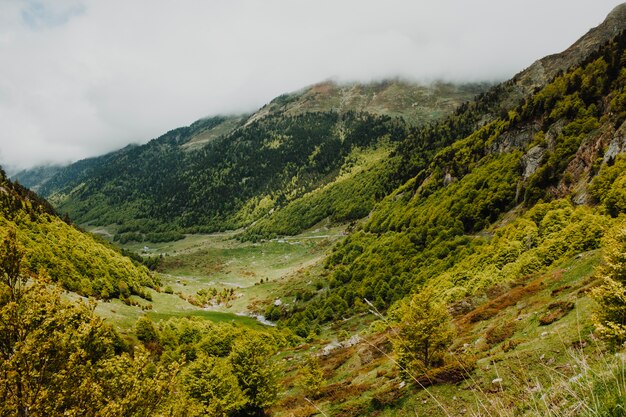 Paisaje rocoso nublado con vegetación