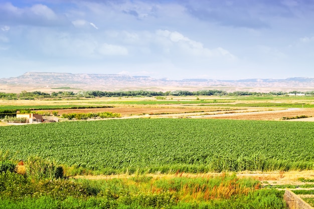 Paisaje rural en Aragón, España