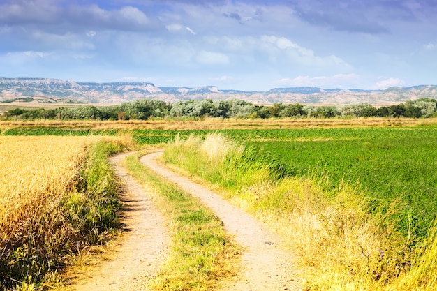 Paisaje rural con campos. Aragón