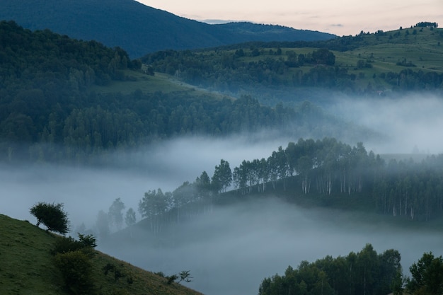 Paisaje rural en la región de Transilvania de Rumania, colinas cubiertas de niebla