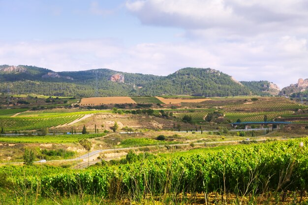 Paisaje rural en La Rioja