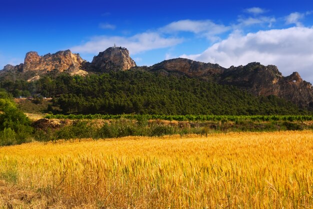 Paisaje rural