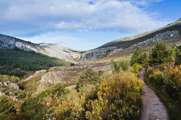 Paisaje salvaje montuoso