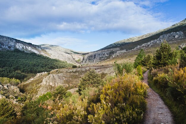 Paisaje salvaje montuoso