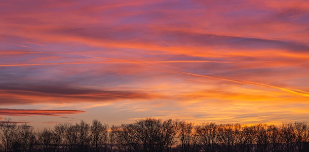 Paisaje de siluetas de árboles bajo un cielo nublado durante una hermosa puesta de sol rosa