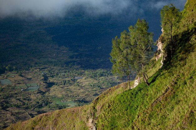 Paisaje. sobre el volcán batur. Bali. Indonesia