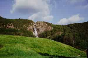 Foto gratuita paisaje soleado de un campo