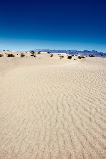 Paisaje soleado de las dunas de arena de Mesquite Flat en el Parque Nacional Valle de la Muerte, California - EE.