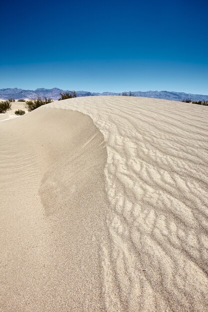 Paisaje soleado de las dunas de arena de Mesquite Flat en el Parque Nacional Valle de la Muerte, California - EE.