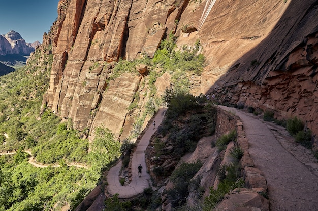 Paisaje soleado del Parque Nacional Zion ubicado en Utah, EE. UU.