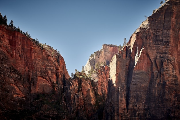 Paisaje soleado del Parque Nacional Zion ubicado en Utah, EE. UU.