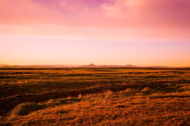 Foto gratuita paisaje en la tarde