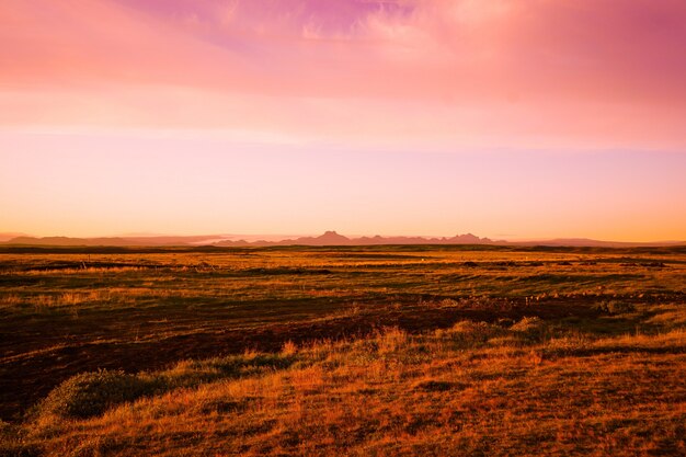 Paisaje en la tarde