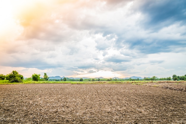 Paisaje de tierra cultivada