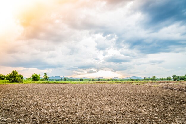 Paisaje de tierra cultivada