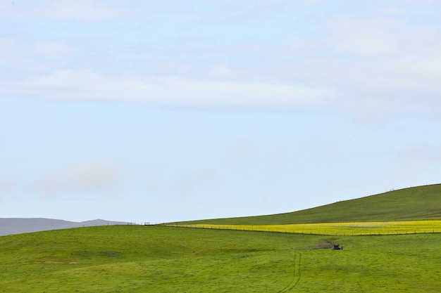 Paisaje de una tierra de rancho ondulado bajo el cielo despejado en Petaluma, California, EE.