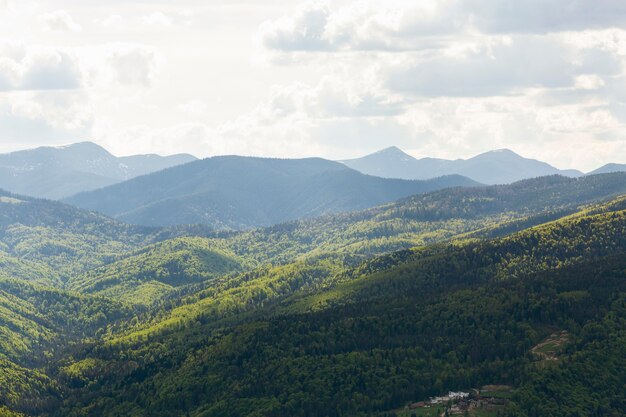 Paisaje tranquilo y hermoso a la luz del día.