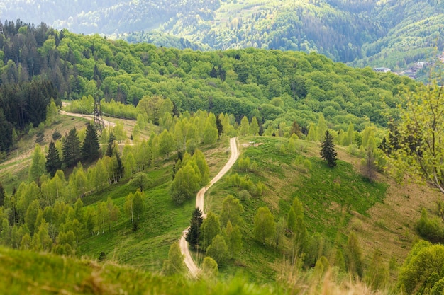 Paisaje tranquilo y hermoso a la luz del día.