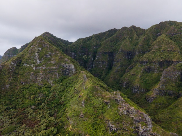 Paisaje tropical de hawái con vistas a la montaña