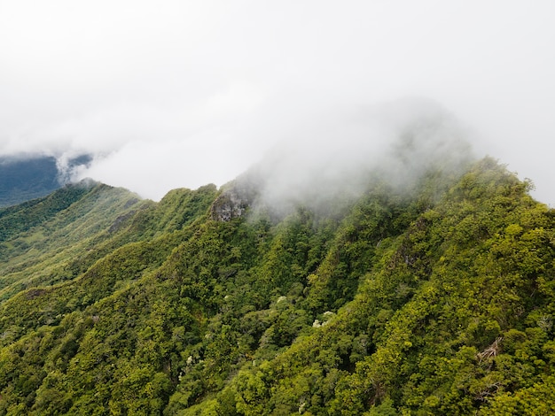 Paisaje tropical de hawái con vistas a la montaña