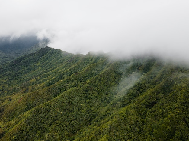 Paisaje tropical de hawái con vistas a la montaña