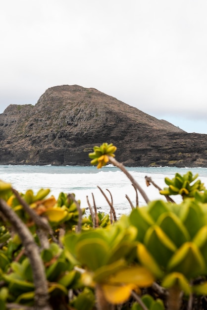 Paisaje tropical de hawaii con el mar azul