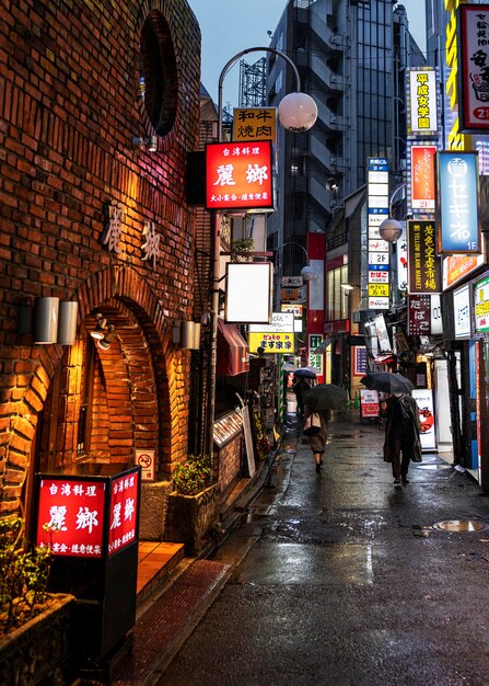 Paisaje urbano de la calle de Japón