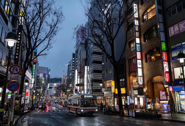 Paisaje urbano ciudad de japón