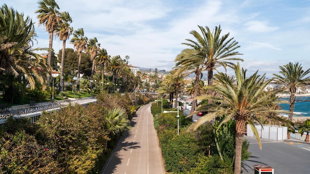Paisaje urbano de Sanremo Italia Embankment street mucha vegetación costa del mar Mediterráneo